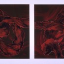 2 Red Knots, Collagraphic monoprints , each 30 x 30 inches